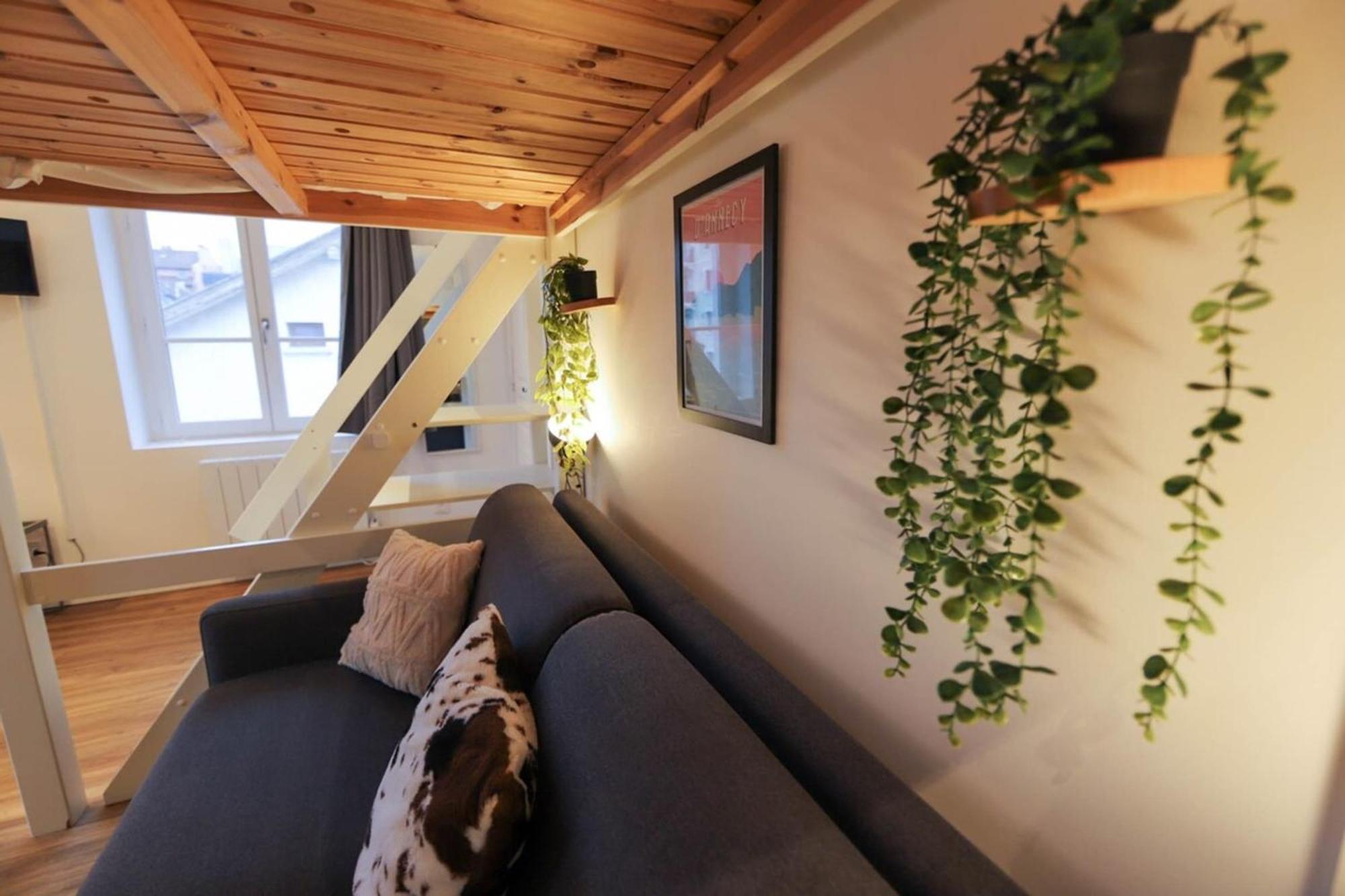 Le Petit Plus - Studio Confortable Avec Parking Apartment Annecy Exterior photo